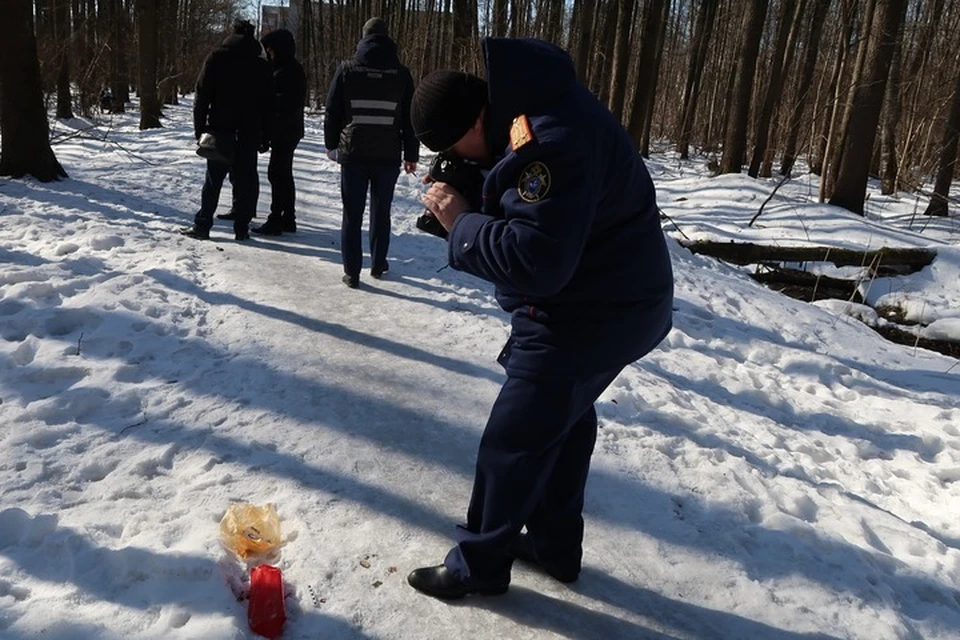 К расследованию привлекли наиболее опытных специалистов следственного комитета и оперативников полиции.