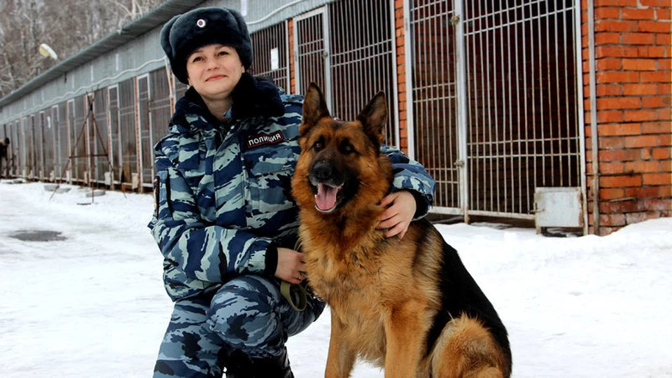 Собака оказала огромную помощь в раскрытии преступления в Томске. Фото: сайт УМВД России по Томской области