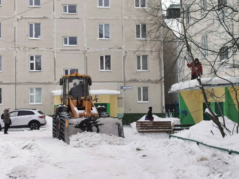 Фото: администрация Ноябрьска