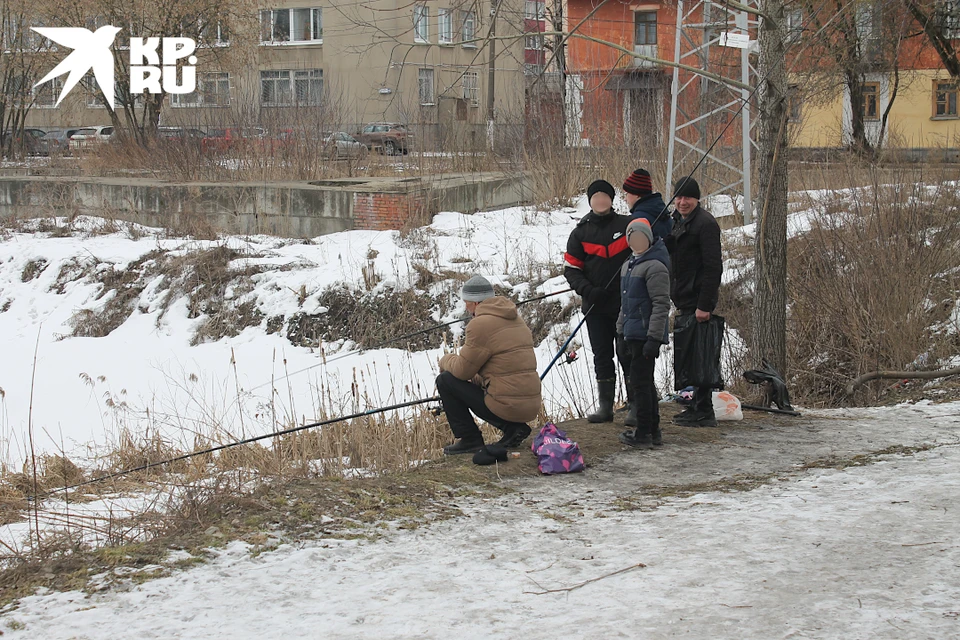 Ещё лёд до конца не сошёл, а рыбаки в Твери уже ловят карася в Лазури.