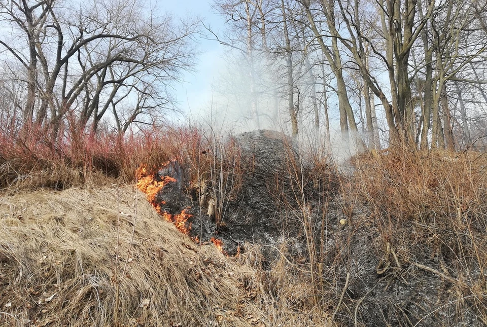 В Орловской области еще не успел сойти снег, а уже начала гореть сухая трава