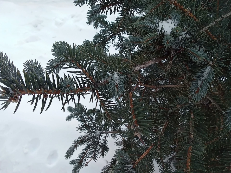 Погода на Ямале на 26 марта