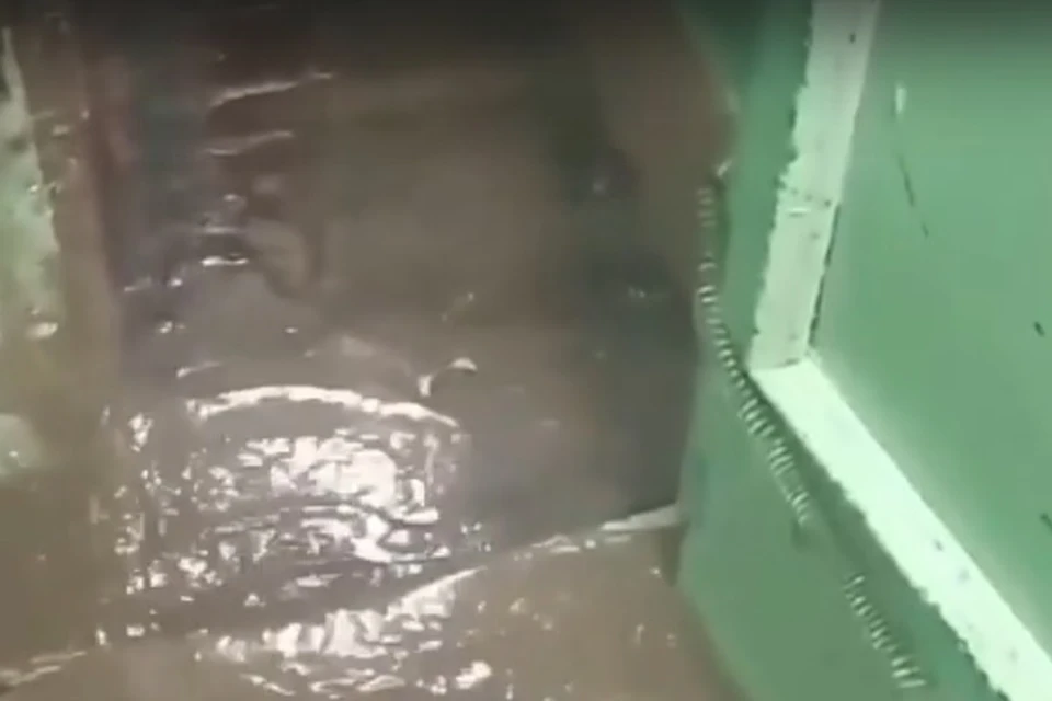 Вода в подъезд лилась с улицы. Фото: скриншнот с паблика «Barnaul22»