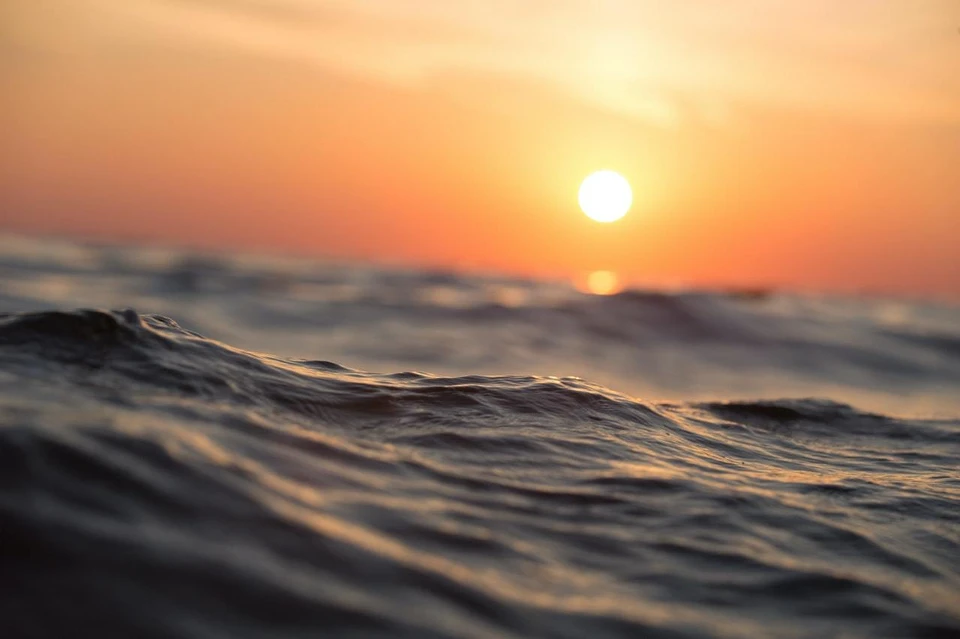Фото: pexels.com