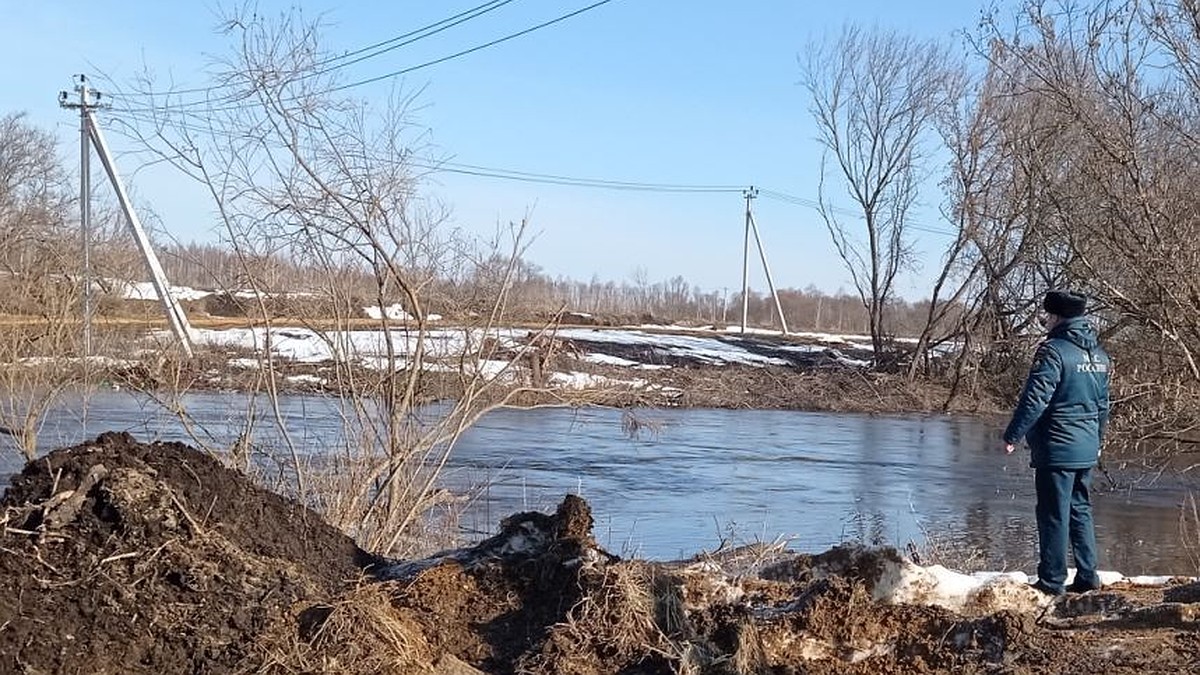 Половодье в Орловской области затопило уже 7 мостов - KP.RU