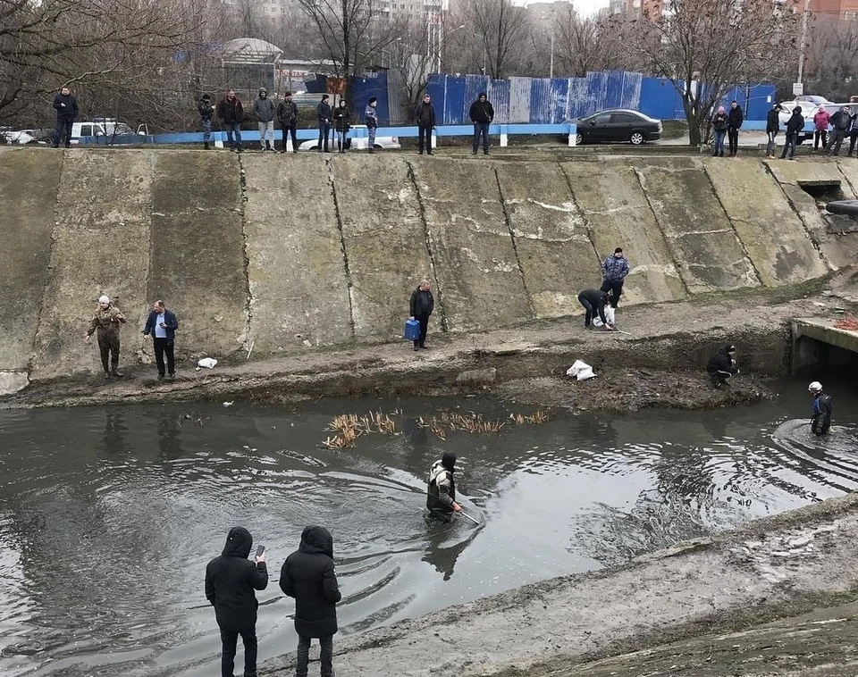 Ростовчане очень удивились необычным артефактам. Фото: соц. сети, паблик "Это Ростов"