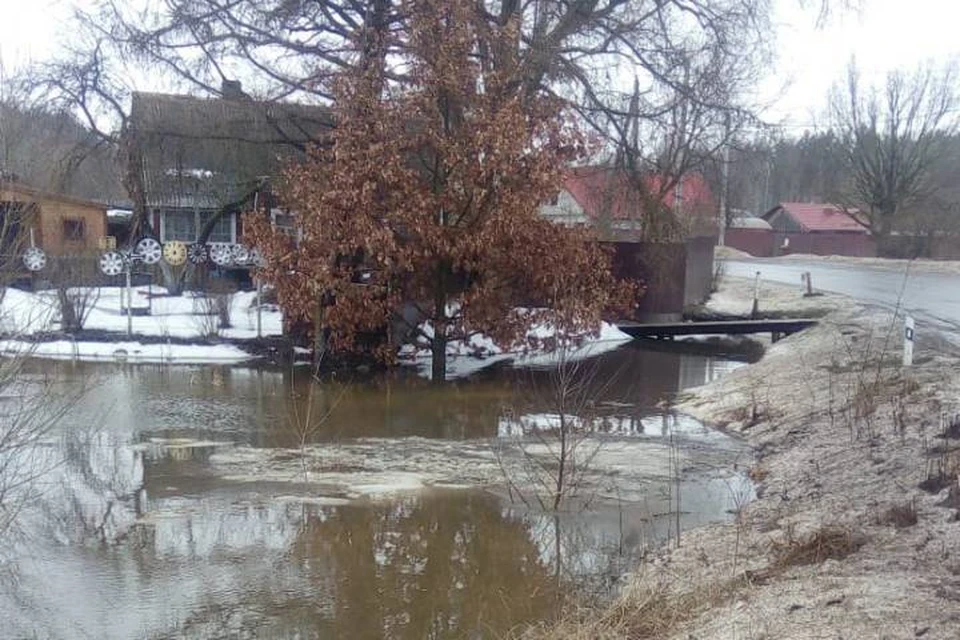 Из-за любви к уткам жители Ленобласти затопили деревню / Фото: Дорожный комитет ЛО