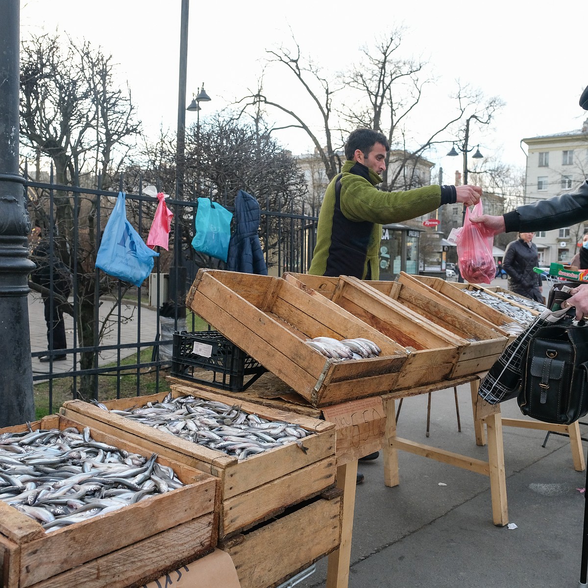 Где купить свежую корюшку у рыбаков в Санкт-Петербурге в 2021 году: Полный  список мест с адресами - KP.RU