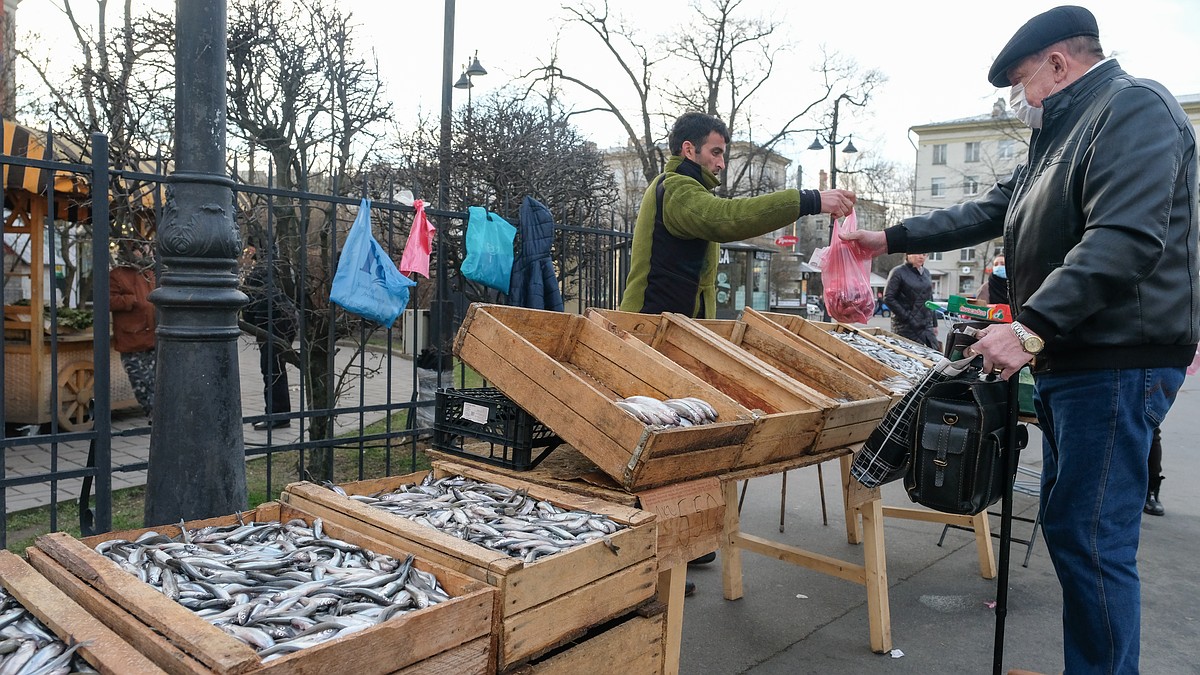 Где купить свежую корюшку у рыбаков в Санкт-Петербурге в 2021 году: Полный  список мест с адресами - KP.RU