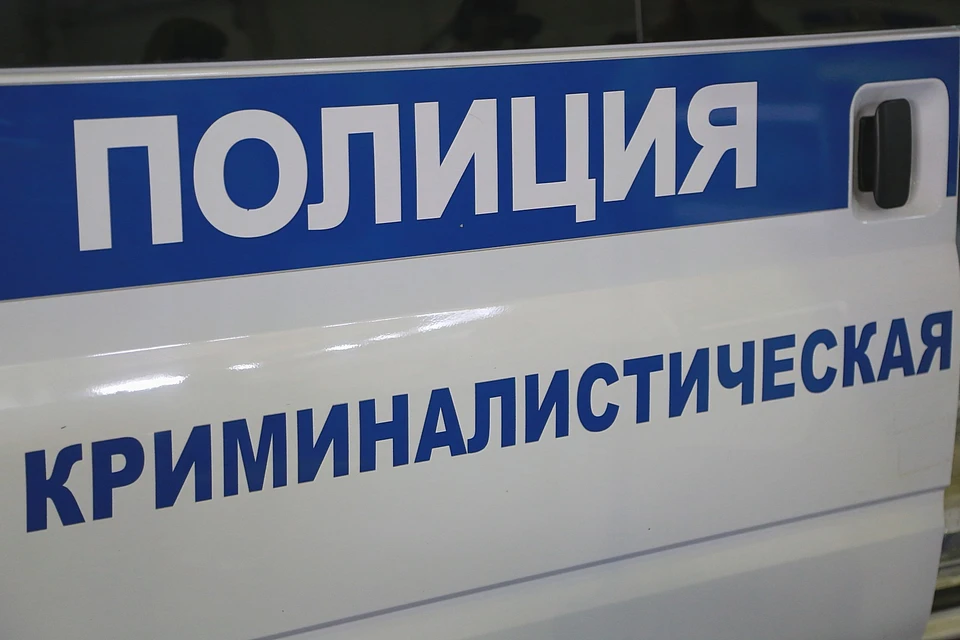 Теперь обвиняемой грозит до 2 лет лишения свободы