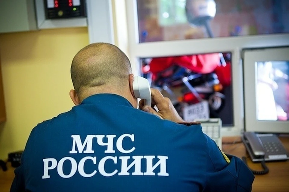 Спасатели Приморья помогают полиции в поисках пропавшего мужчины. Фото: пресс-служба ГУ МЧС России по Приморскому краю