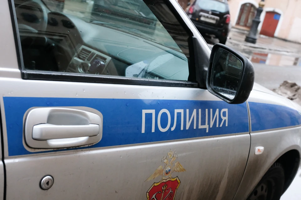 Полиция Ленобласти задержала мужчину по подозрению в изнасиловании 8-летней девочки
