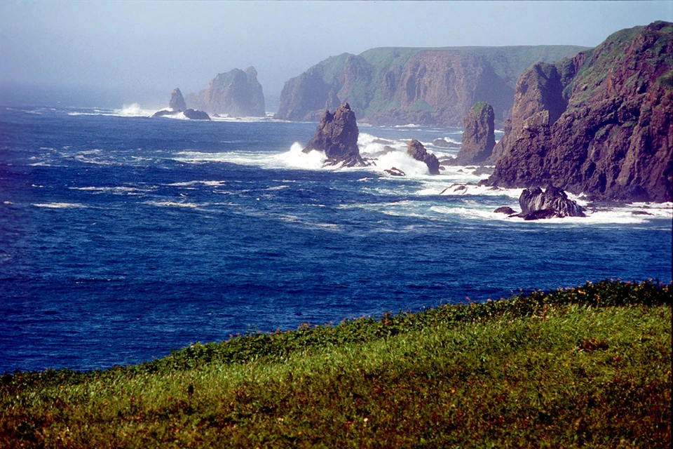 Очередную «сенсацию» про остров Шикотан и архипелаг Хабомаи выдал NHK