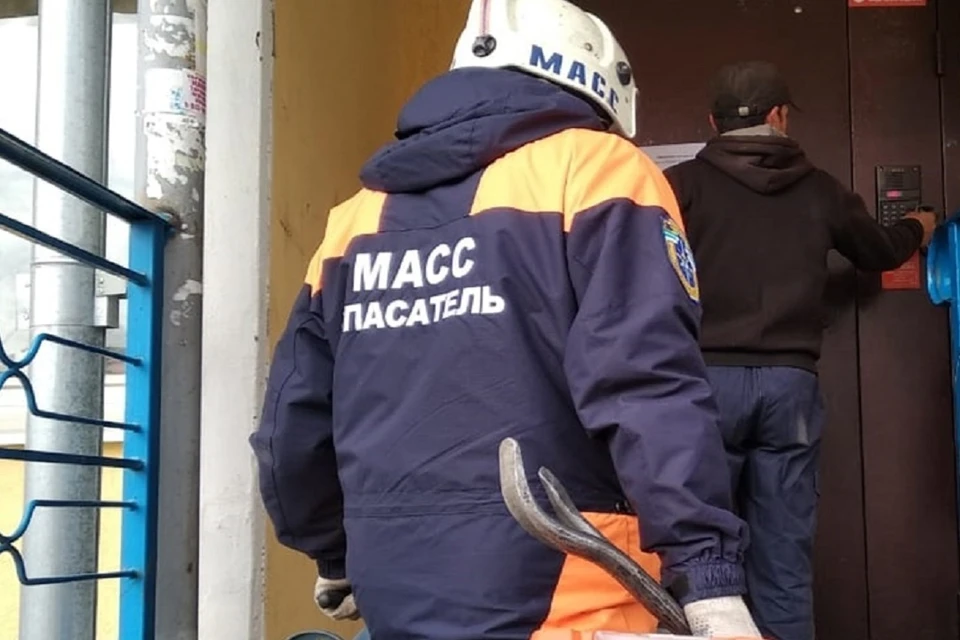 В Новосибирске двухлетний ребенок оказался заперт в квартире. Фото: служба спасения МАСС.