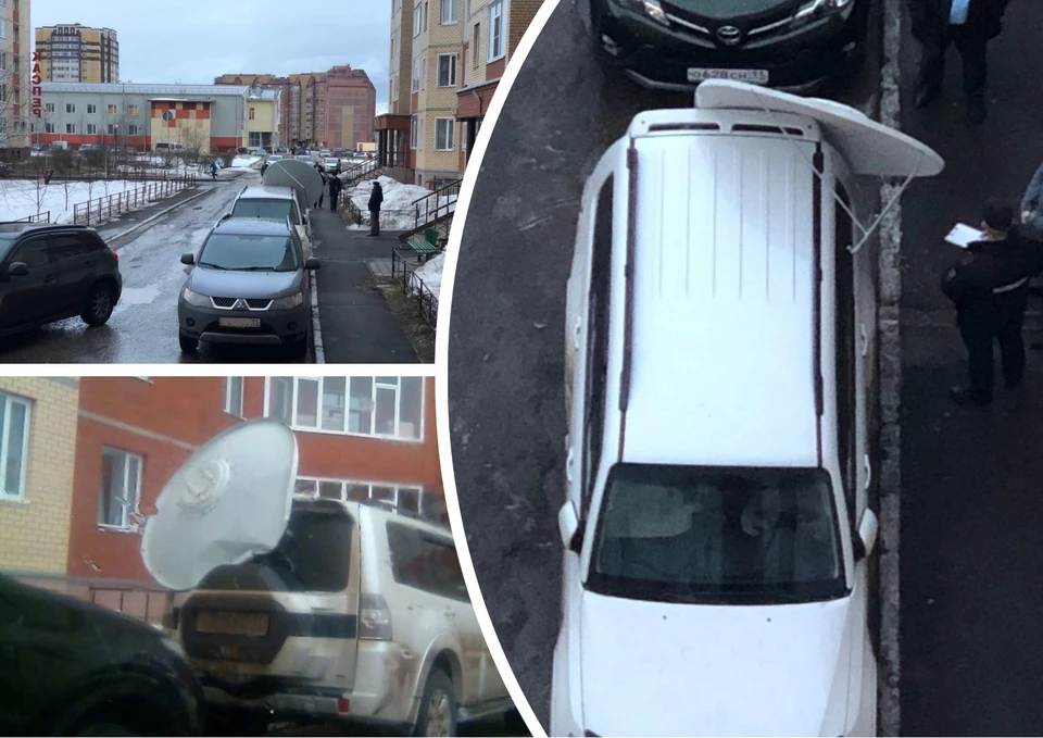 Фото: соцсети