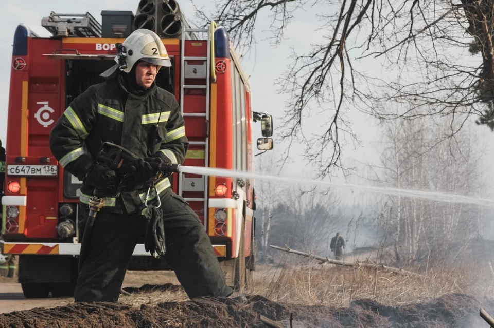 Фото: ГУ МЧС по Воронежской области.