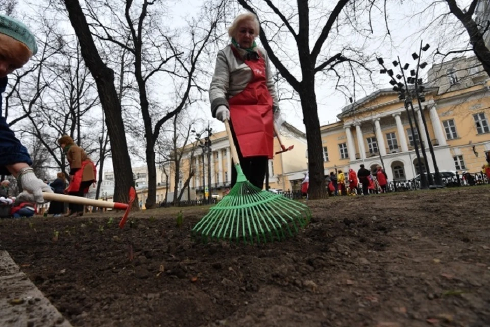 Сломанные вандалами остановки восстанавливают в Хабаровске