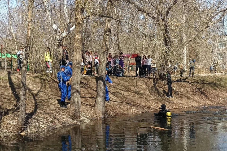 Дно озера возле жилого дома на ул.Солнечной, 43а обследовали водолазы.