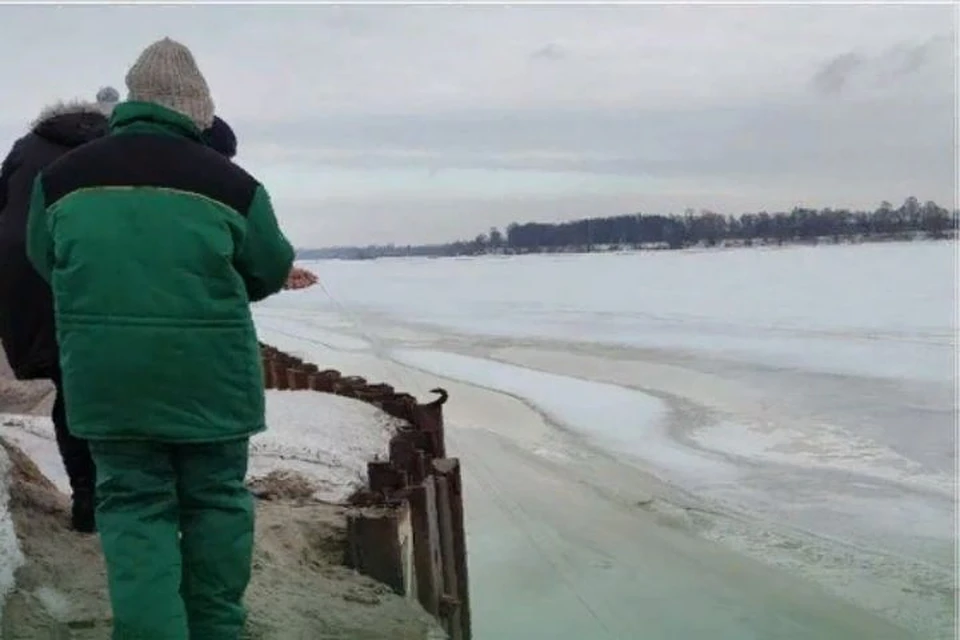 Виновной в загрязнении Волги может быть мэрия Ярославля. ФОТО: Росприроднадзор, Instagram