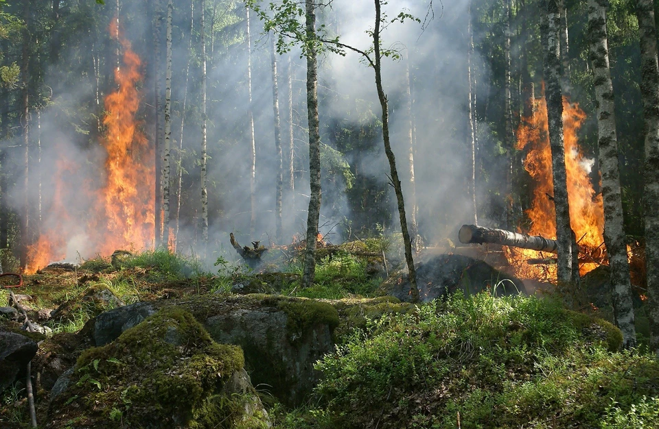 Пожароопасный период будет действовать с 19 апреля в Удмуртии