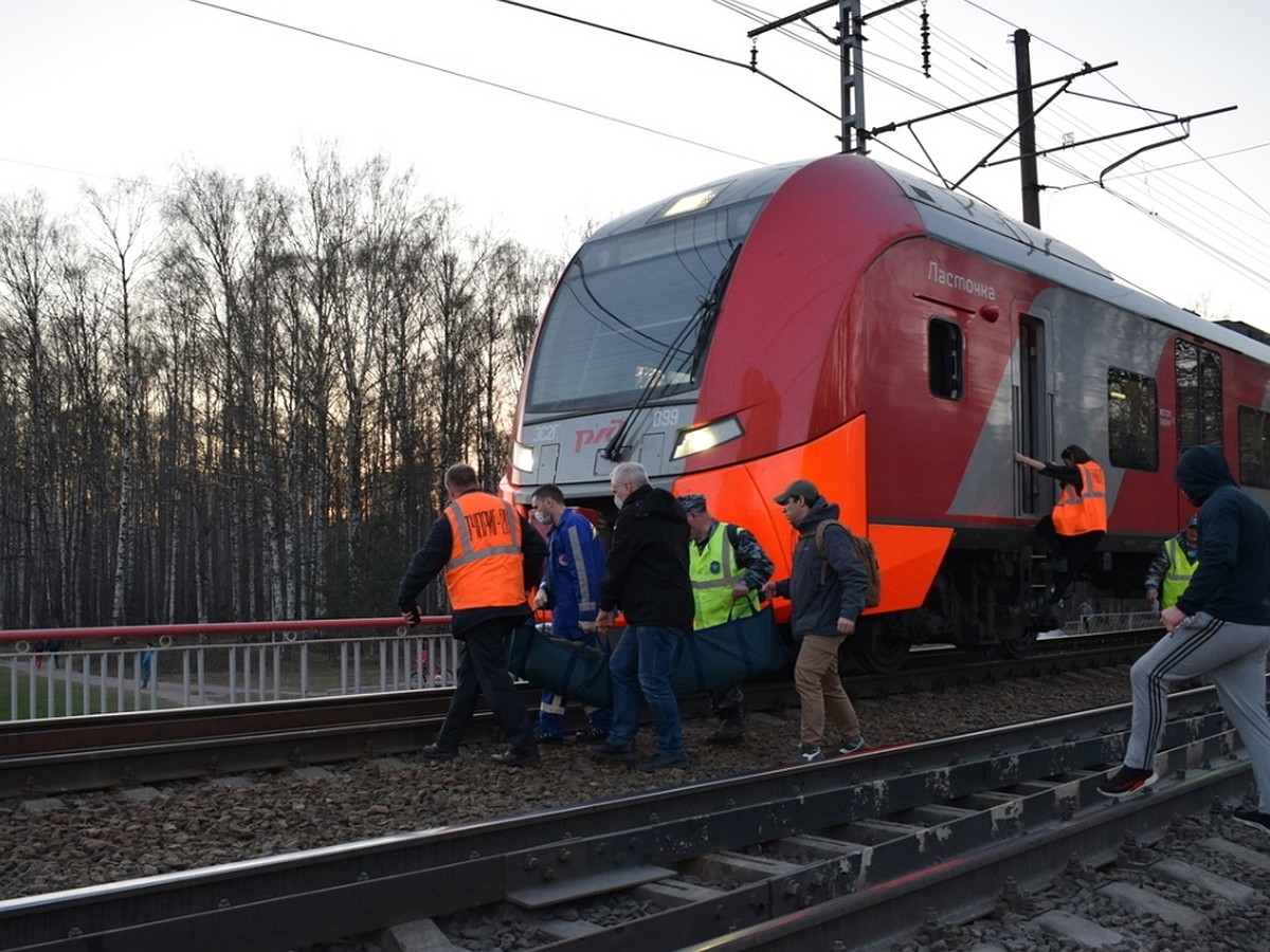 Ласточка» сбила мужчину на ж/д мосту в Санкт-Петербурге - KP.RU