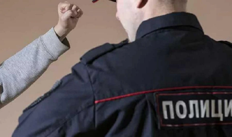 Мужчина осужден по ст. 318 ч. 2 УК РФ (применение насилия к представителю власти)
