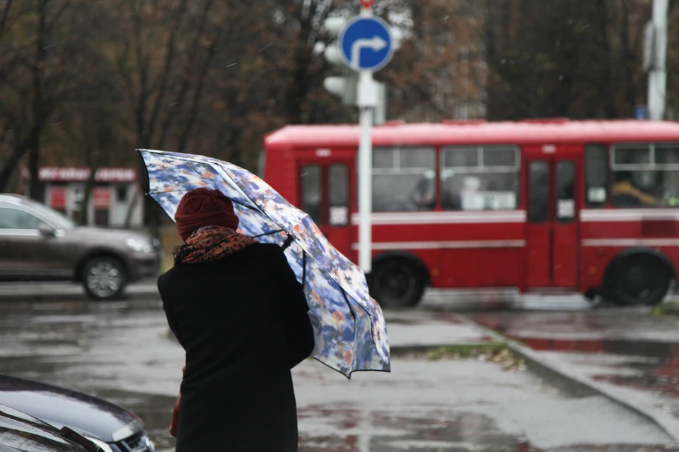 В Москве выпустили экстренное предупреждение из-за дождя и сильного ветра