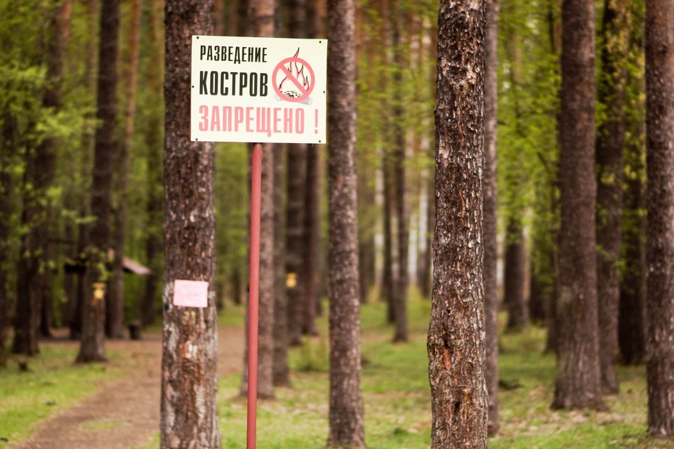 Противопожарный режим свердловская. Противопожарный режим Киров. Противопожарный режим Пермский край 2021.