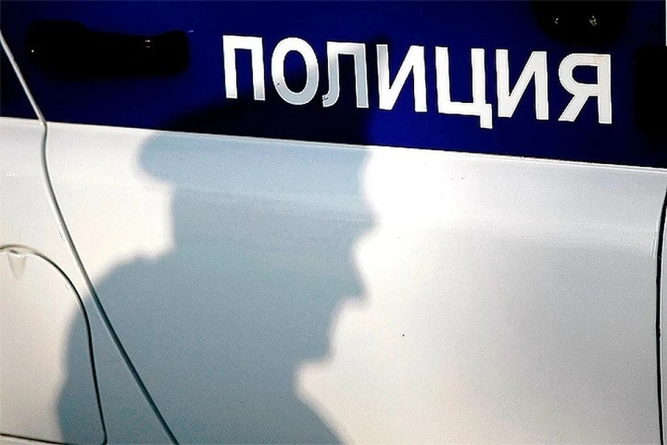 Проверку по данному факту должна провести городская полиция.