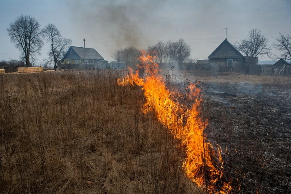 Огонь с сухой растительности может перекинуться на жилые дома и постройки. Фото МЧС ДНР