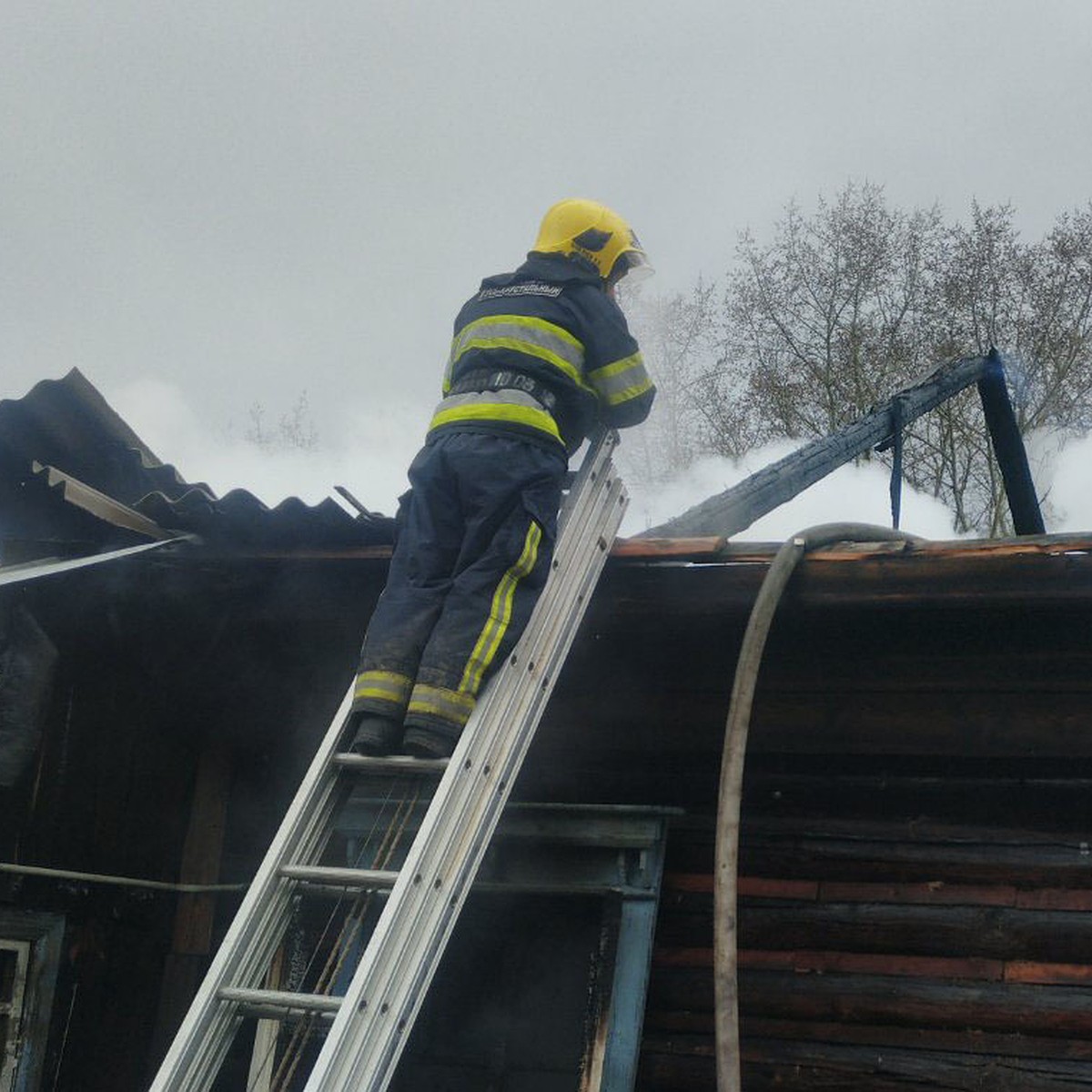 На пожаре в Гусь-Хрустальном районе погиб местный житель - KP.RU