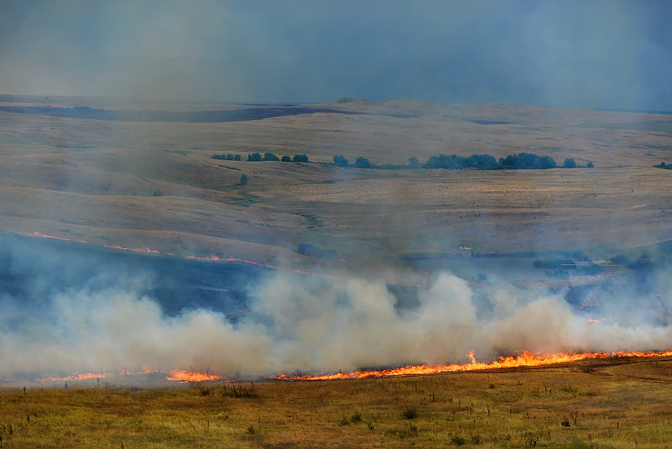 Пал травы может привести к катастрофическим последствиям: огонь легко распространяется на гектары.