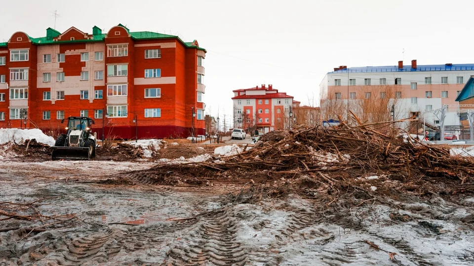 В столице Ямала появится новая современная детская площадка Фото: Администрация Ямала
