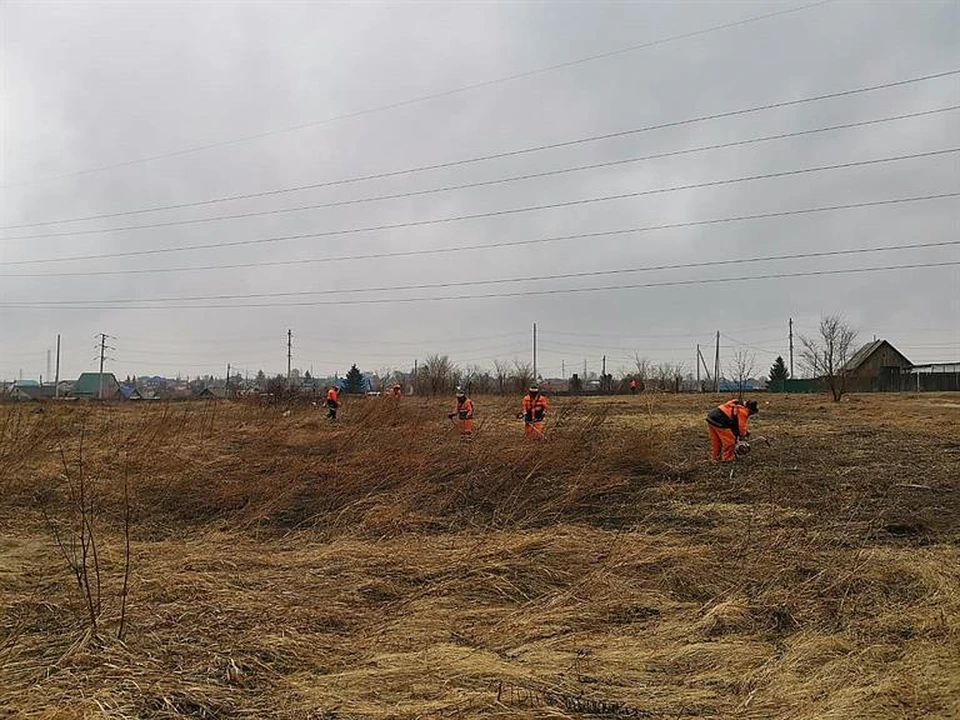 Профилактические покосы сухой травы. Фото: пресс-служба администрации Красноярска