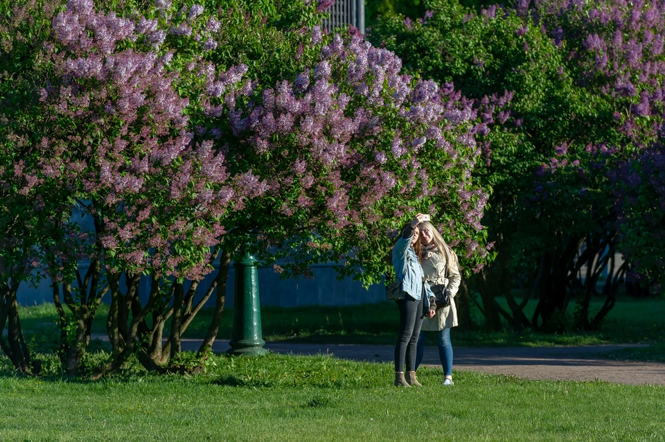 6000 гектаров земли сейчас включено в список ЗНОП, и еще 200 гектаров находится в зеленом резерве.