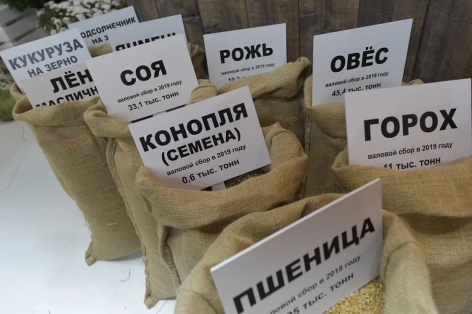 В предприятие вложат порядка 200 млн рублей
