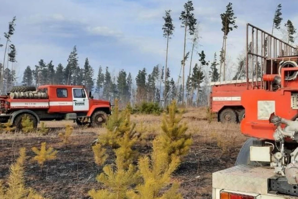 Три лесных пожара потушили за сутки в Иркутской области