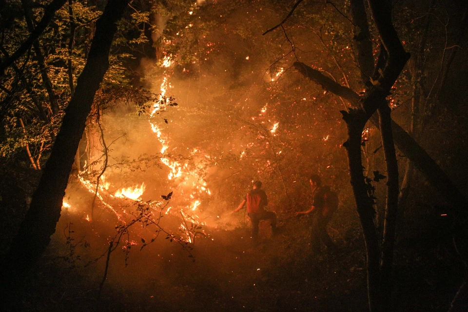 Ранее за сообщения о виновниках лесных пожаров платили 2 тыс. рублей