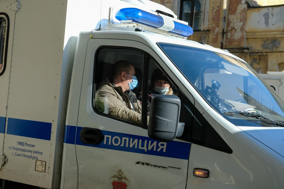 Сотрудниками полиции проводится проверка по факту хищения нескольких сотен картин с участка во Всеволожском районе