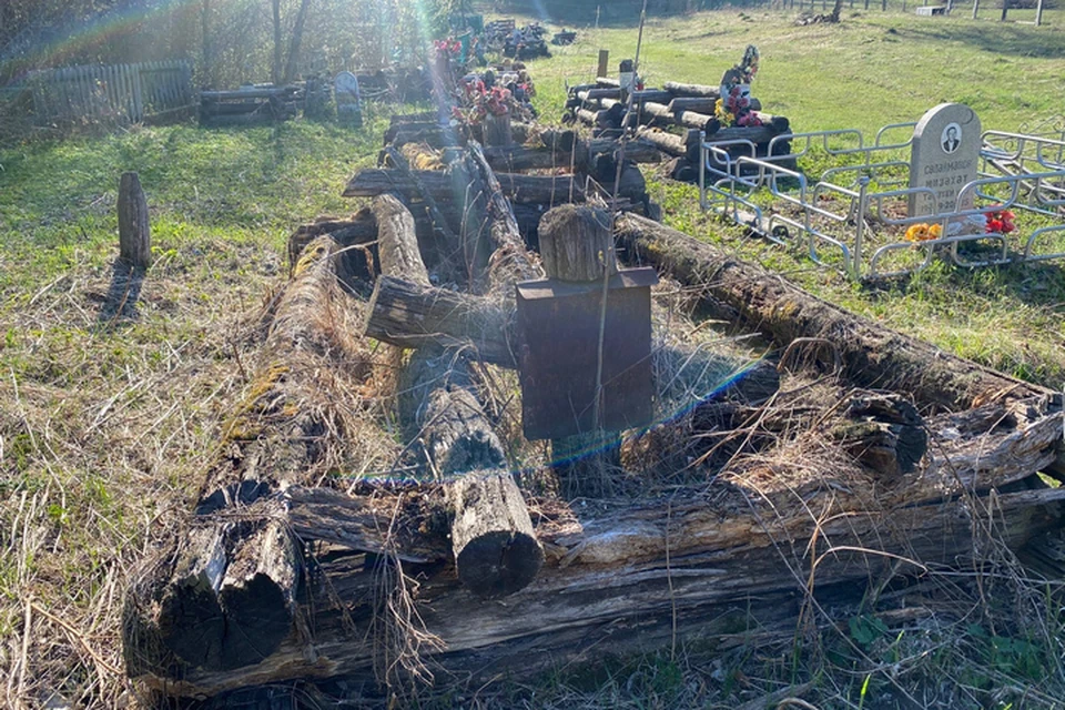 Фото: Олег Чегодаев