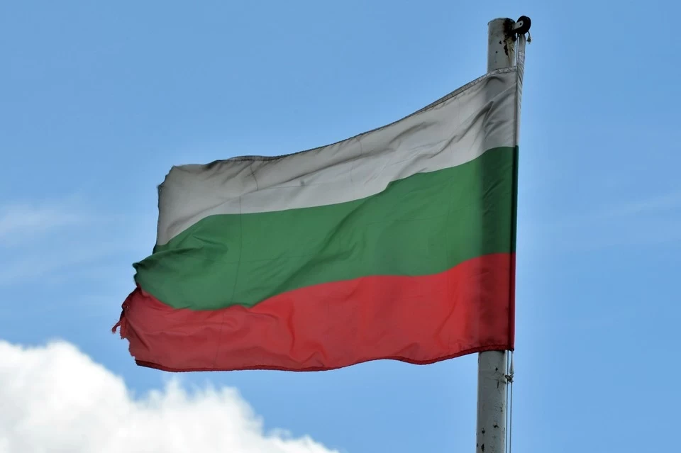 Болгарский журналист заявил о набирающей силу «антироссийской дикости»