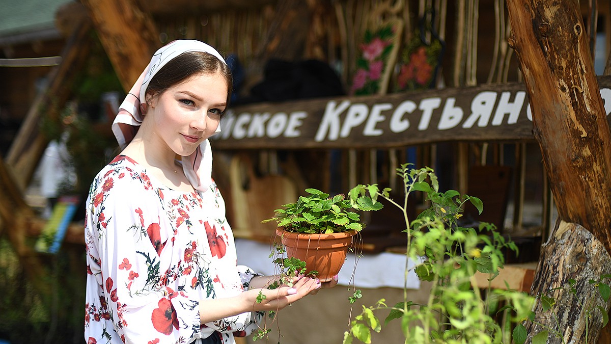 Еда без химии, валенки и платья в пол на модном показе: фоторепортаж с  «крестьянской ярмарки» у Германа Стерлигова - KP.RU