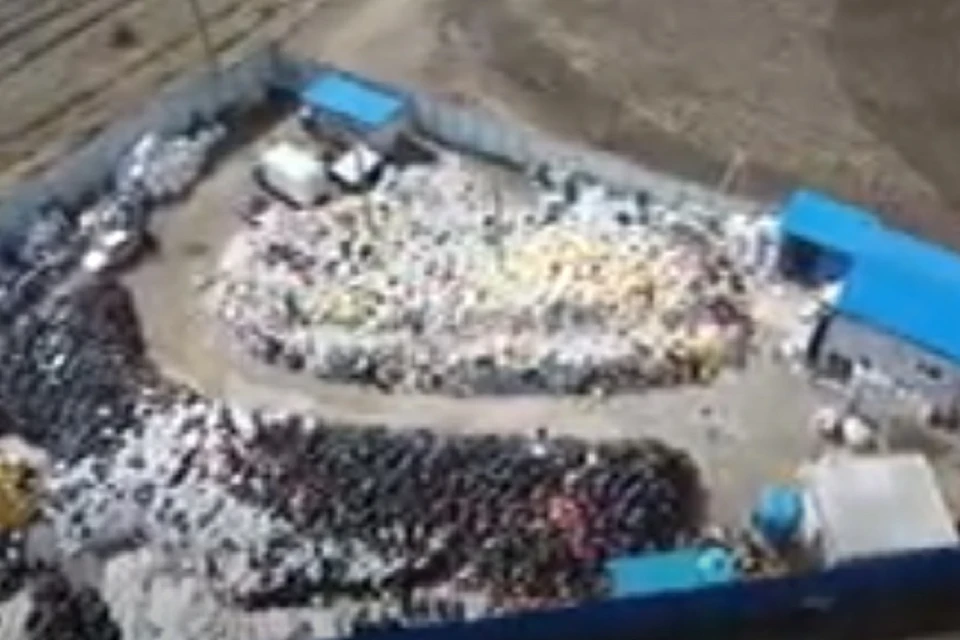 В Таганроге обнаружили свалку медицинских отходов. Фото: YouTube- канал «Зеленый Фронт»