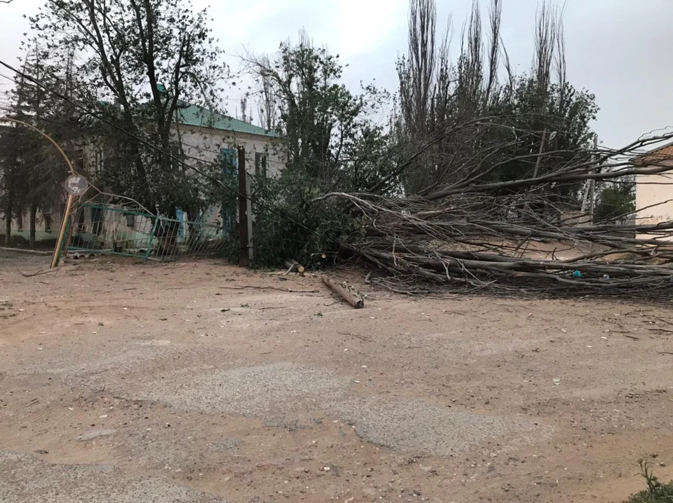 Процесс лично контролирует глава города Мария Пермякова
