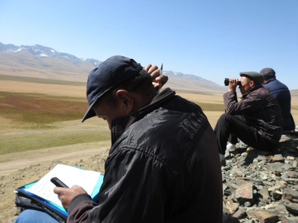 Природные пастбища и сенокосные угодья занимают более 87% площади всех сельскохозяйственных земель Кыргызстана.