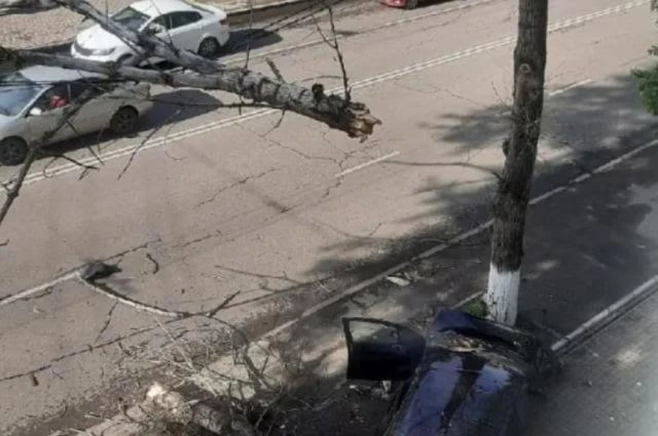 На проспекте Ленина из-за ветки, упавшей на провода, остановилось движение троллейбусов.