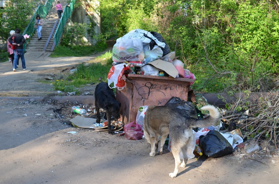 Ситуация с вывозом мусора в Орле все еще оставляет желать лучшего