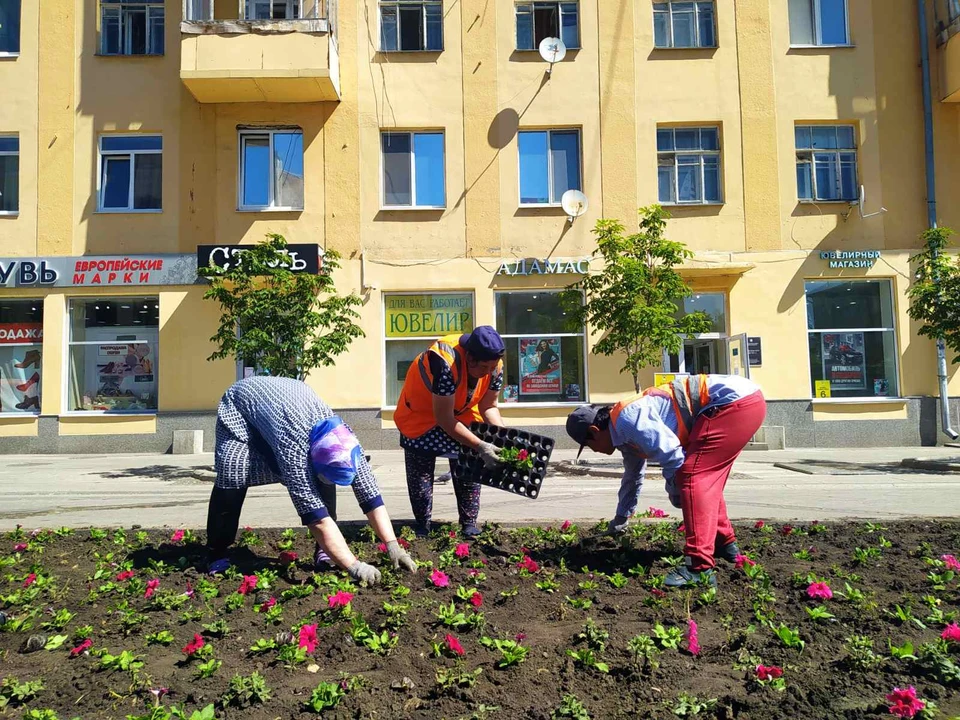 На территории работают более десятка специалистов Фото: Администрация Самары