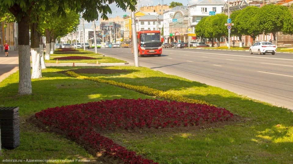 Сорокина назвала претендента на должность начальника управления транспорта. Фото: администрация Рязани.