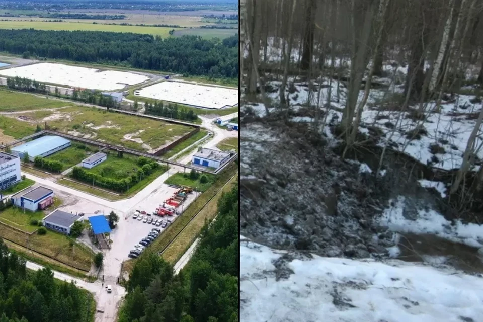 Суд Петербурга освободил от наказания фигурантов дела о хищениях денег на "Красном бору". Фото: Дирекция по обеспечению безопасности ГСП «Красный Бор» / СОЦСЕТИ